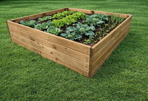 Raised wooden vegetable garden - wooden,